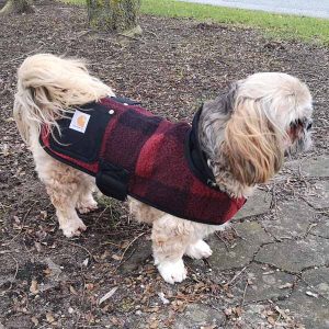 Carhartt - Plaid Chore Coat, Hundedækken-XL
